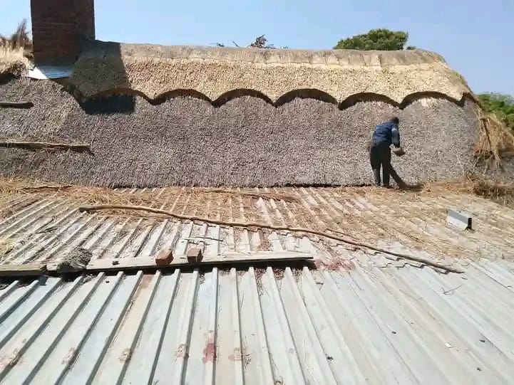 Thatched home design