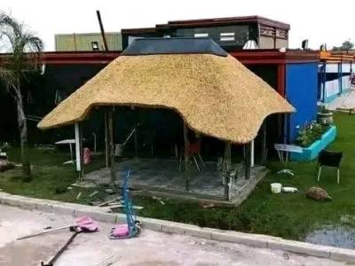 Curved thatched lapa – BC Thatchers, Cape Town