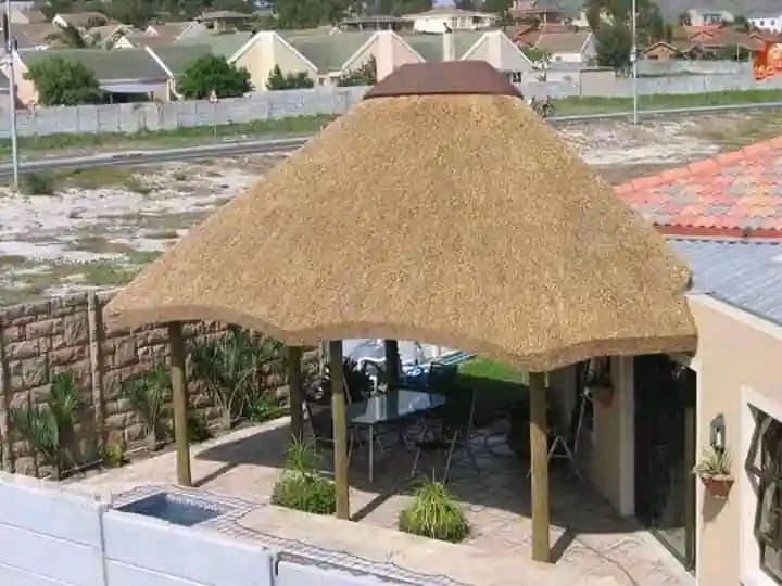 Thatched lapa over a patio