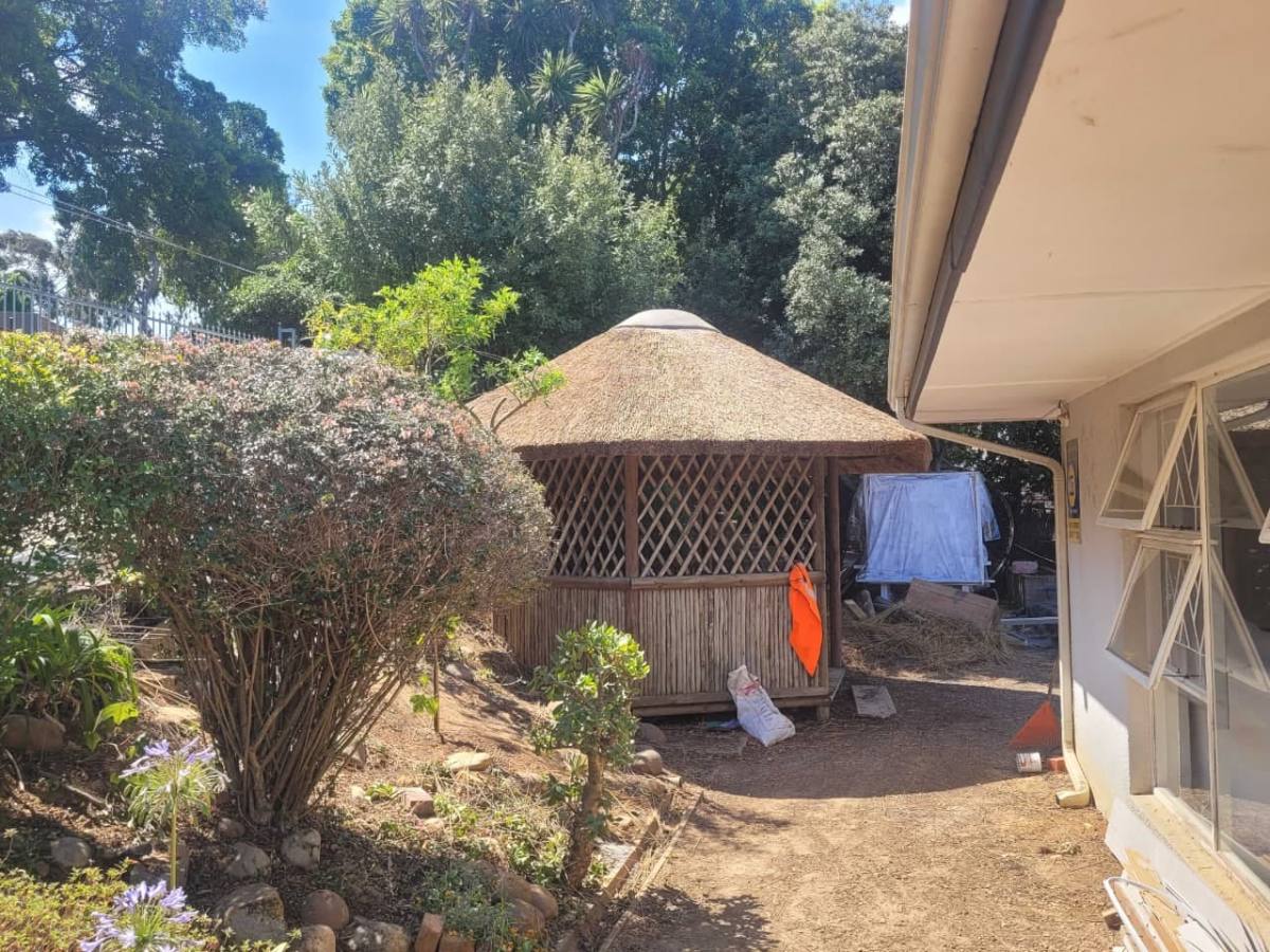 Thatched patio lapa