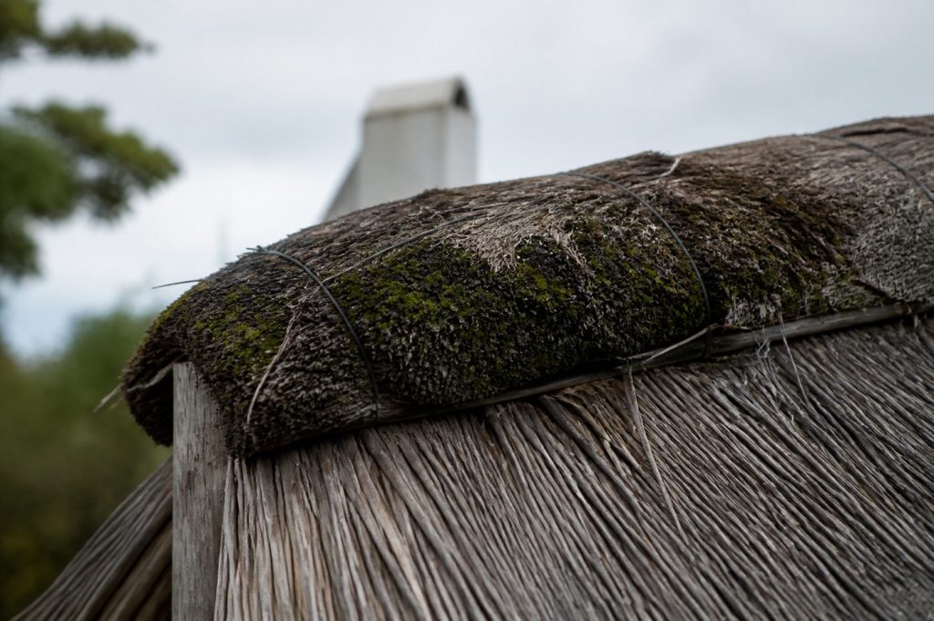 Thatch Ridge Replacement: Signs, Cost and Timing
