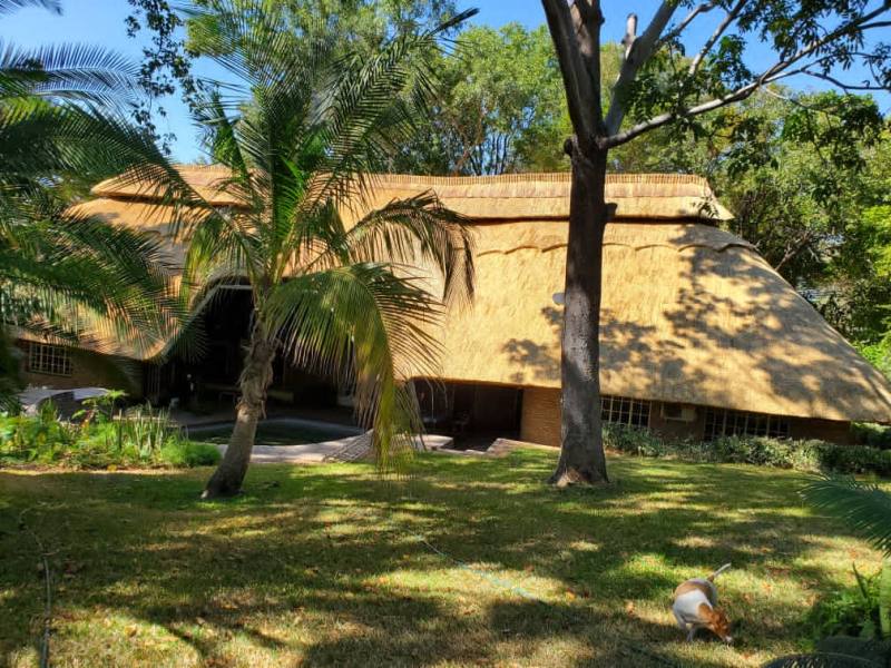 Dressing a new thatch roof – BC Thatchers, Cape Town