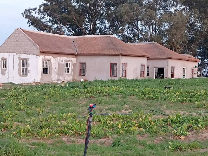 Re-thatch & repair in progress – BC Thatchers, Cape Town