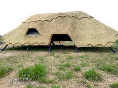 Large thatched boma – BC Thatchers, Cape Town